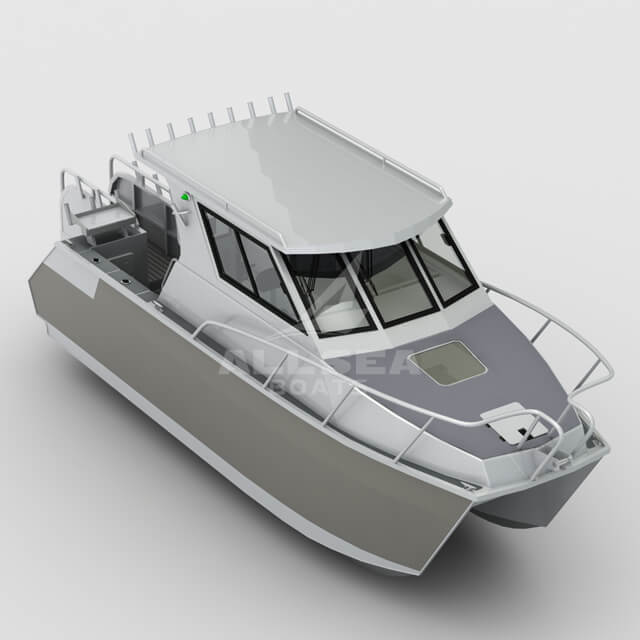 Bateau catamaran de 7,9 m
