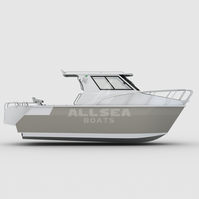 Catamaran de hors-bord de loisirs ALLSEA 
