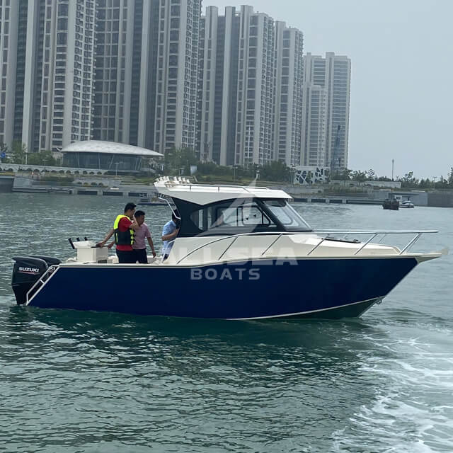 Professeur 750 Cabine complète