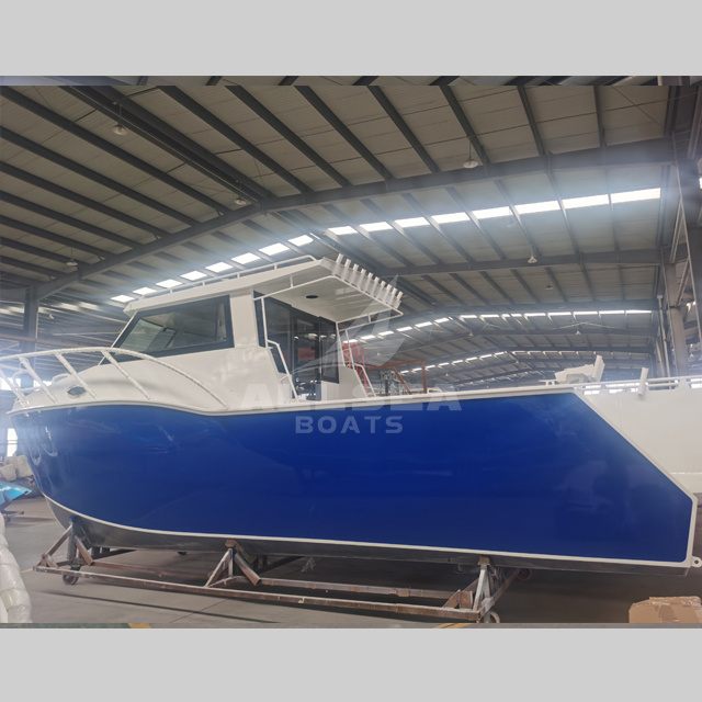 Catamaran de sport de 8,8 m